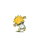 calvnim.gif (3540 octets)