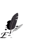 email2.gif (6102 octets)